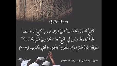 القارئ ياسر الدوسري الحج أشهر معلومات من سورة البقرة