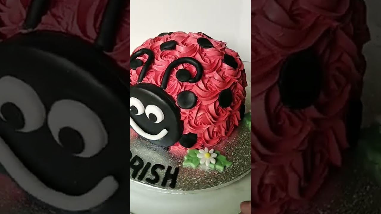 ladybug cake idea