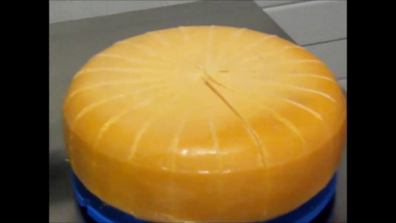 Ultrasonic & robotic cheese portioning YouTube