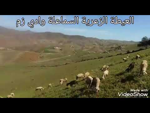 جديد صفارة السماعلة ناوحي مدينة وادي زم ماتنساوش الاشتراك في القناة جزاكم الله خيرا