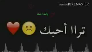 حالات واتس اب ولك احبك ️️