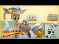 El desastre de los cupcakes! | DreamWorks Madagascar en Español Latino