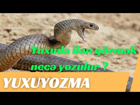 YUXUYOZMA: Yuxuda ilan görmək nə deməkdir ?