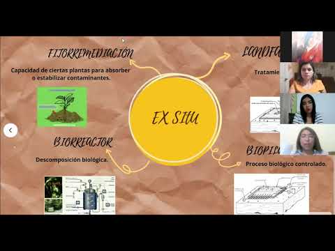 Vídeo: Diferencia Entre Biorremediación In Situ Y Ex Situ