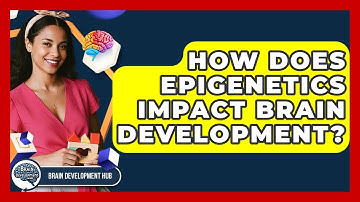 How Does Epigenetics Impact Brain Development? - Brain Development Hub