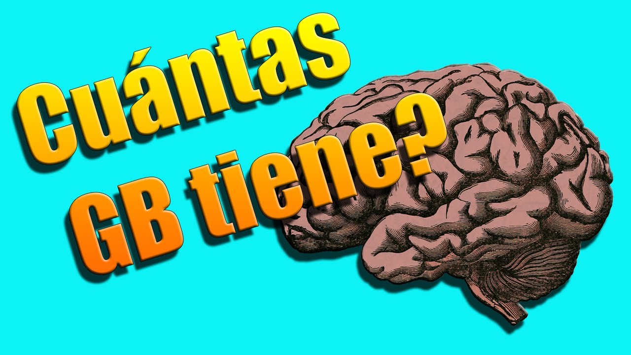 ¿CUANTO almacenamiento tiene nuestro CEREBRO? YouTube ¿CUANTO almacenamiento tiene nuestro CEREBRO? YouTube