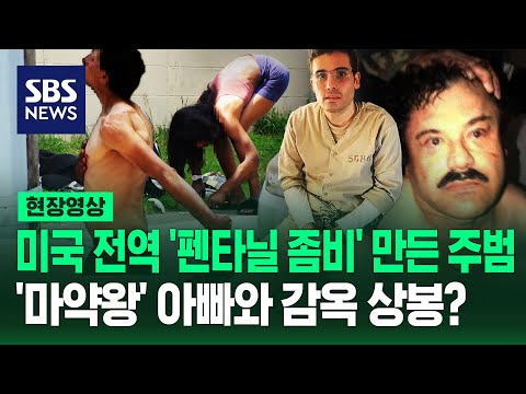   미국을 좀비랜드 로 만든 부자지간 멕시코 마약왕 엘 차포 아들도 미국 끌려왔다 현장영상 SBS