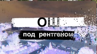 Ош под рентгеном