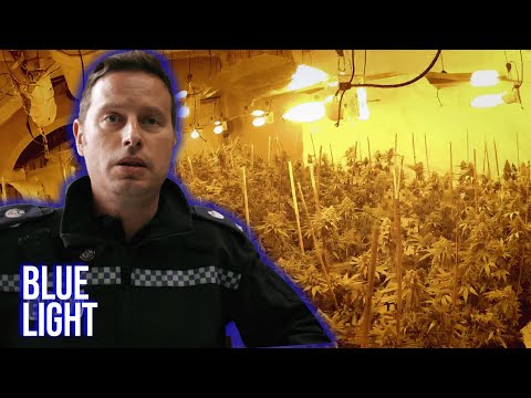 Cops Find £10,000 Farm | Suspect No1 | Blue Light documentary thumbnail