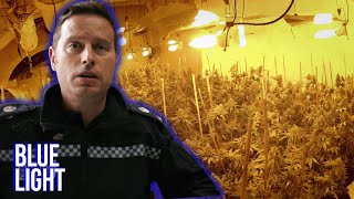 Cops Find £10,000 Farm | Suspect No1 | Blue Light