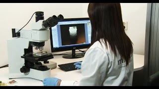 Mat-Tech Development Testing Innovative Soldering And Brazing