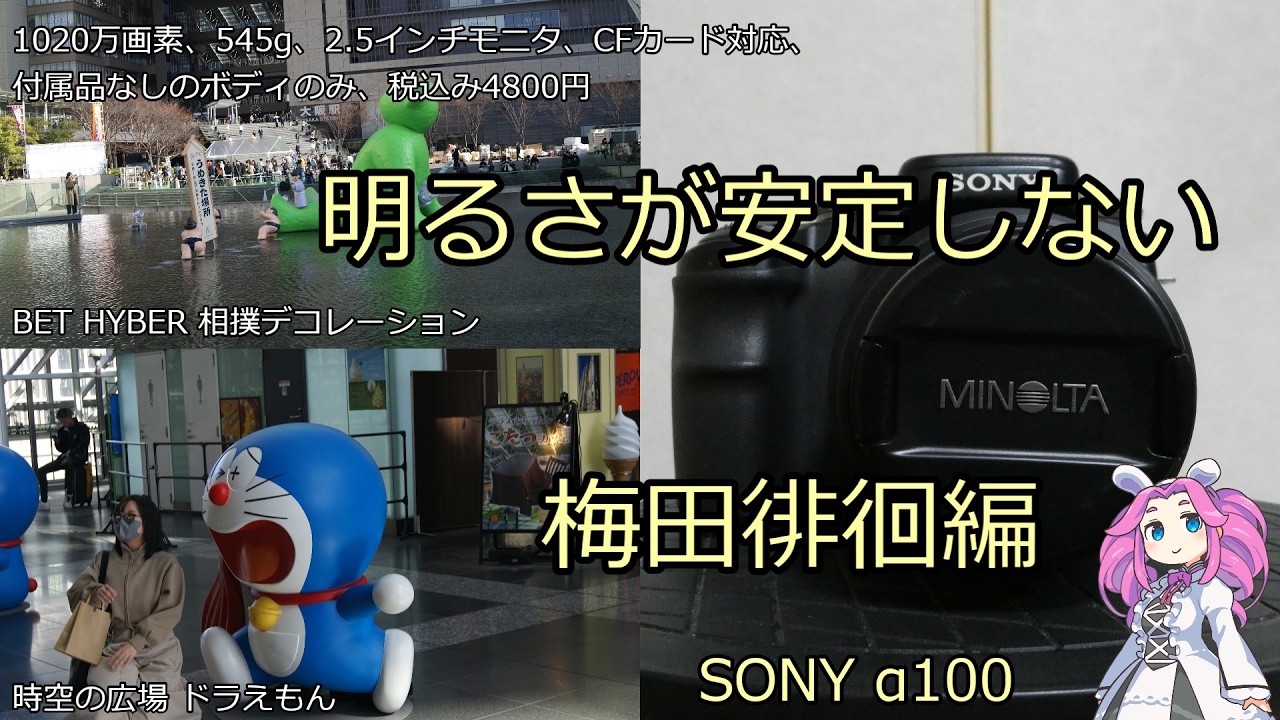 SONY α100 (DSLR-A100) Junk Camera Review: Unstable Brightness