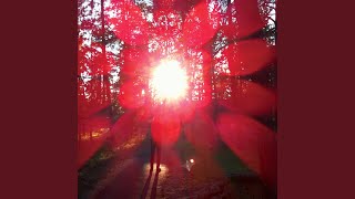 Video thumbnail of "Russian Circles - Schiphol"