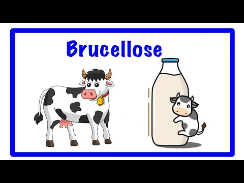 Vidéo: Comparaison Des Connaissances, Attitudes Et Pratiques De La Brucellose Animale Et Humaine Entre Les éleveurs Nomades Et Les Non-éleveurs Au Kenya