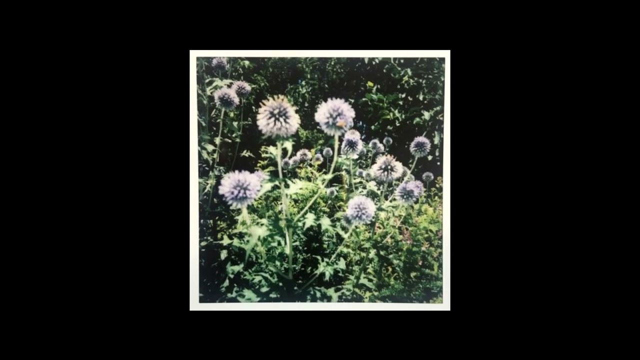 Alternative Rock x Emo Rock Type Beat - highway