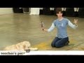 Teach a Dog to 'Take It' and 'Drop It' | Teacher's Pet With Victoria Stilwell