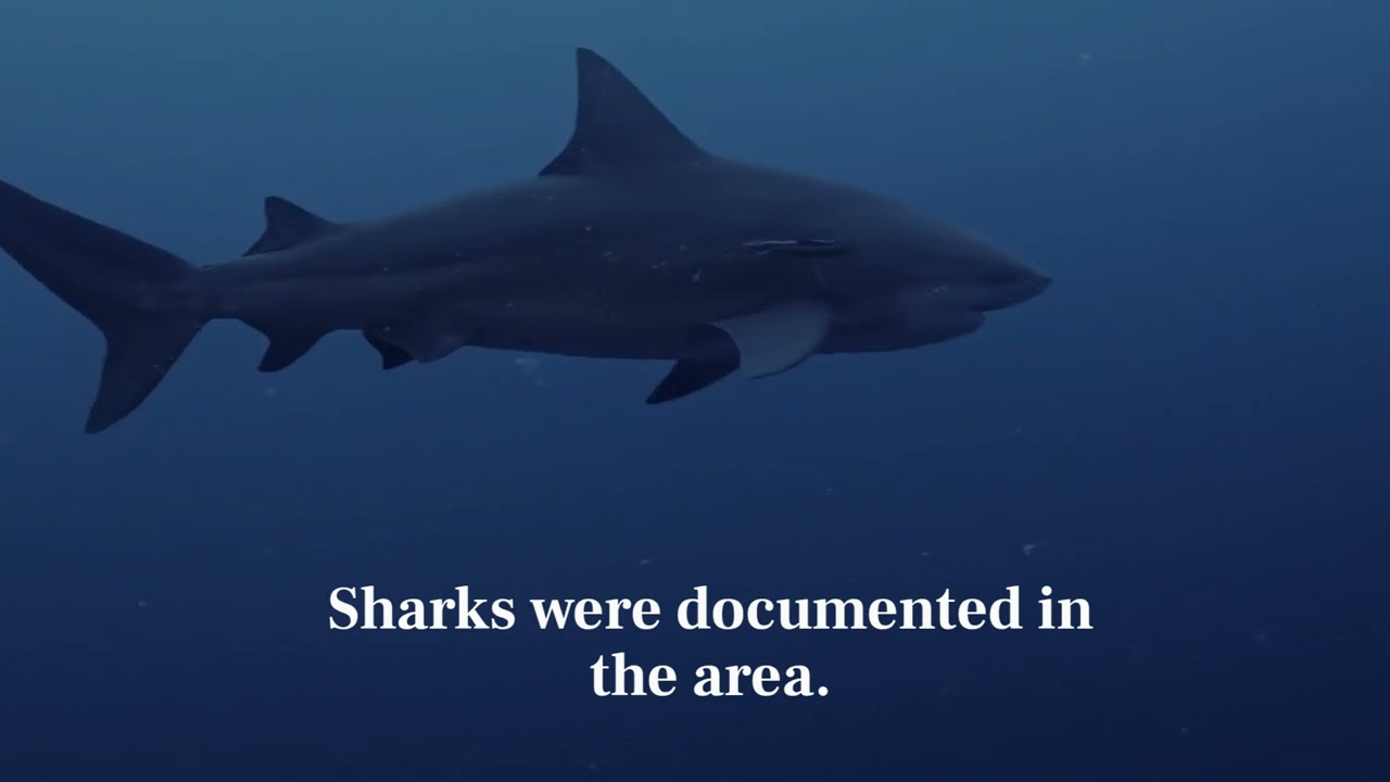 Lost at Sea: Where Are My Rescuers