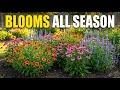 Plant These NOW! 20 Longest-Blooming Perennials for NONSTOP Color All Year 🌼