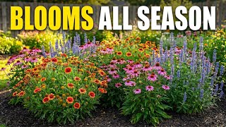 Plant These NOW! 20 Longest-Blooming Perennials for NONSTOP Color All Year 🌼
