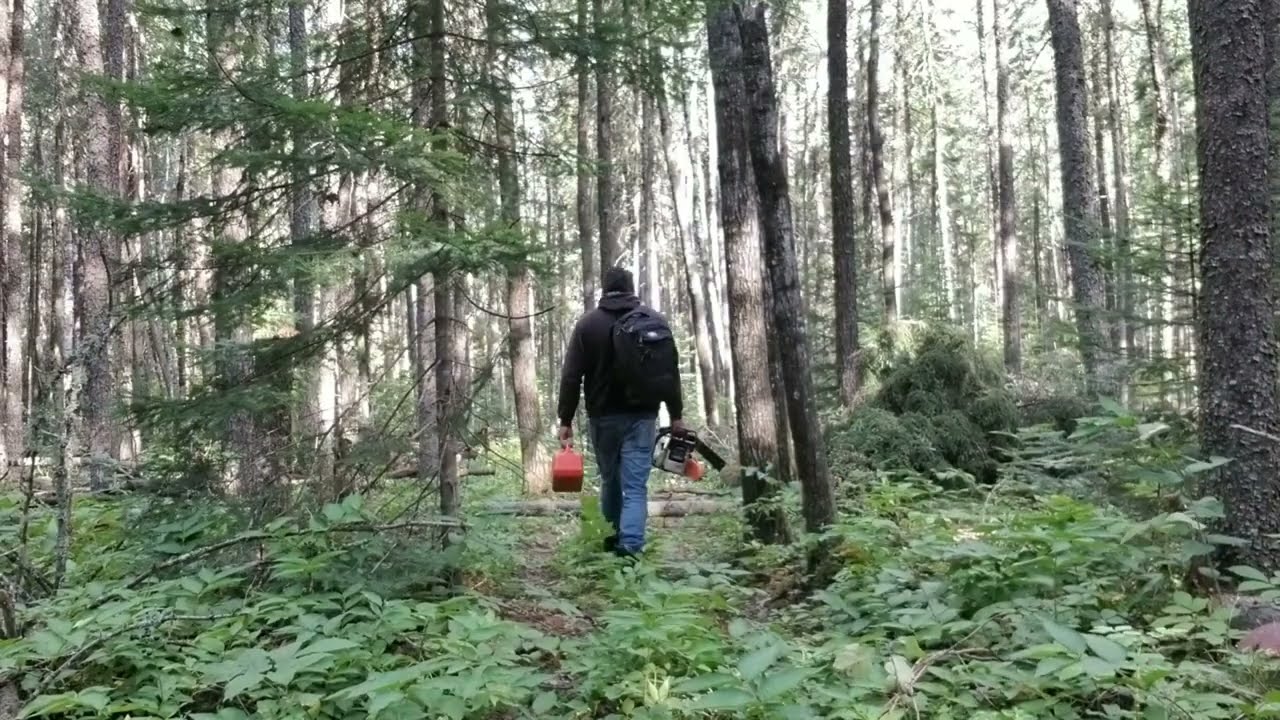 Cutting A Trail | Chainsaw | Off Grid Living