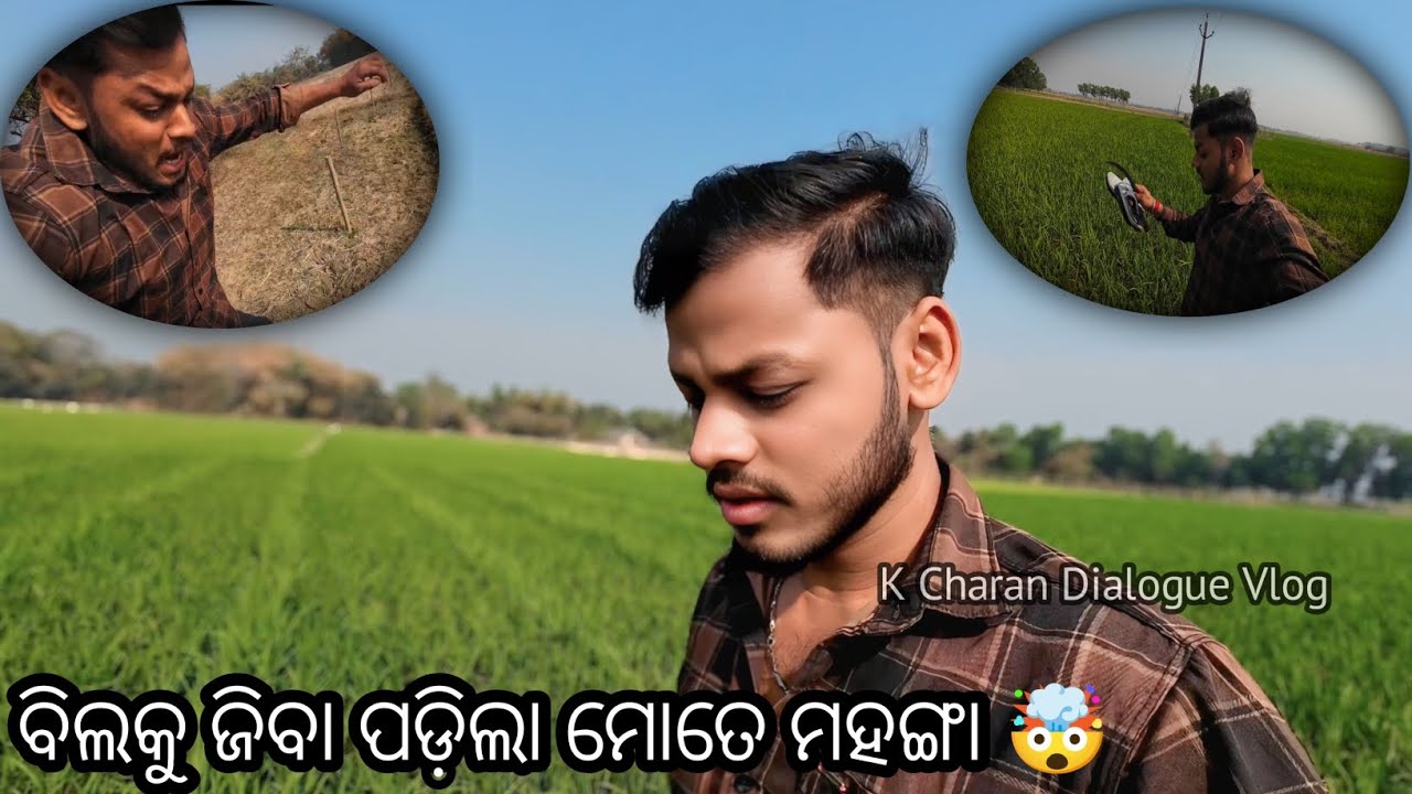 ବିଲକୁ ଜିବା ପଡ଼ିଲା ମୋତେ ମହଙ୍ଗା😔 || Odia Vlog || K Charan Dialogue Vlog || #vlog #kcharandialogue 