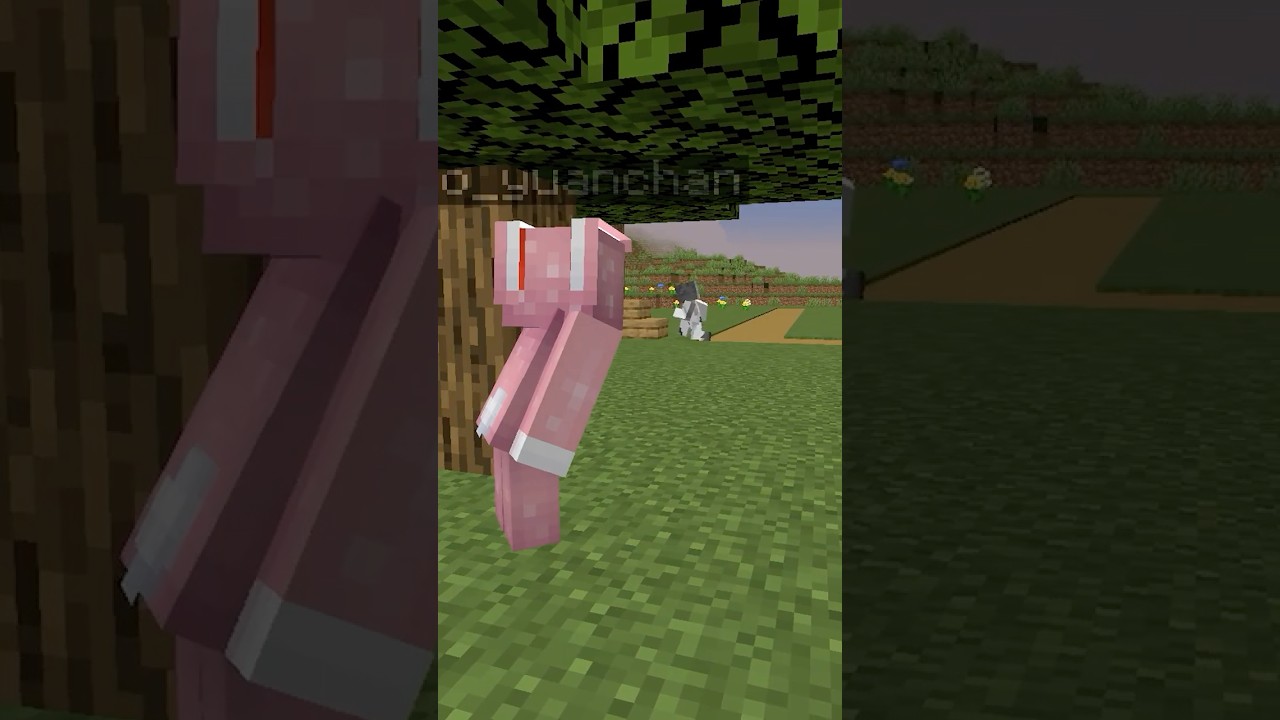 用炸彈房子惡作劇！結果… #yuan醬 #minecraft #minecraftmemes #memes