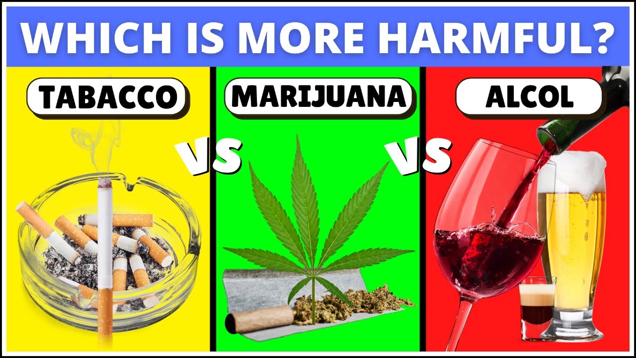 Tobacco vs alcohol vs marijuana: which is more harmful? Effects on health and on the human body