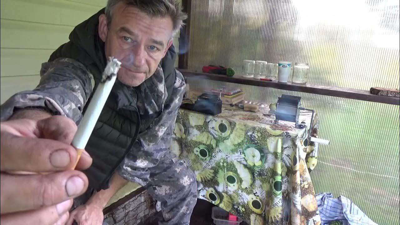 Сорт табака Собольческий 33. - YouTube