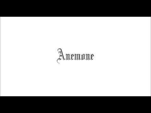 Anemone　/　美音　【ボカロ】