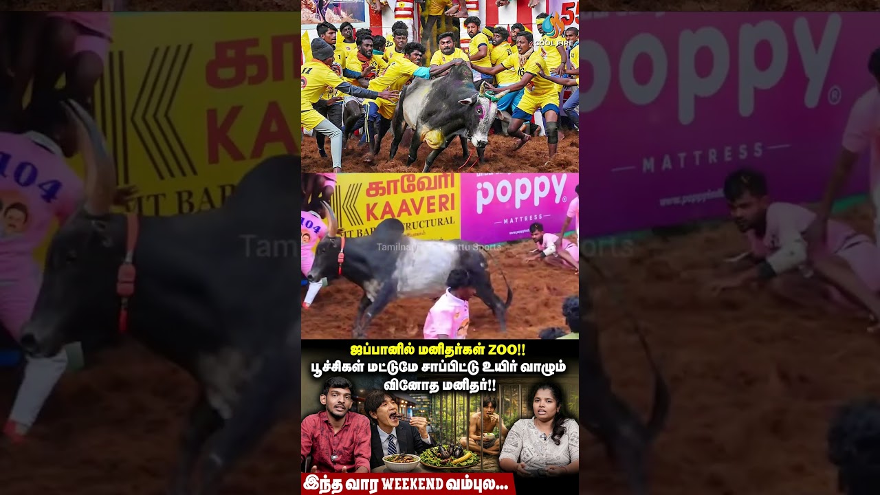 மாடு பிடி வீரர்களுக்கு அரசு வேலை!இந்த வார Weekend வம்புல... 