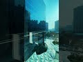 Oracle Office in Knowledge City #shorts