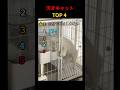 天才キャット TOP4 #shorts