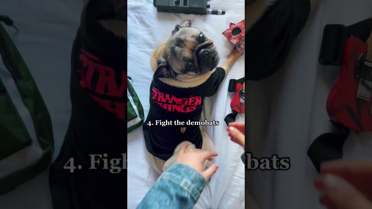 How to give your dog a Stranger Things massage!! 🎸🔦 