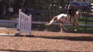 Flying Colors Horse Show - Portia and Frecktacular 2nd trip screenshot 4