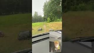 POTA in the rain