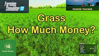 FS22 Grass, How Much Money on Farming Simulator 22?