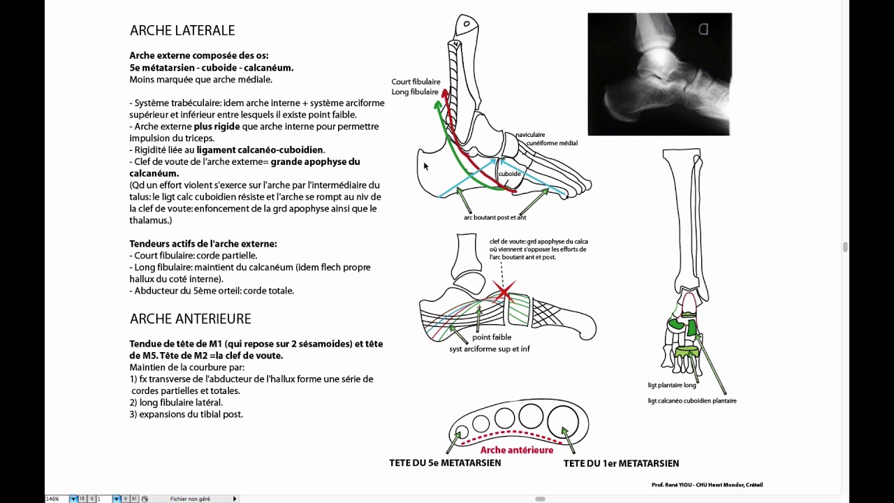 Voute plantaire arches latérale et antérieure YouTube — free download