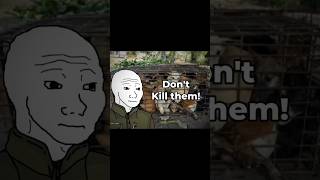 The Millionaire Who Saved 2,000 Dogs ...