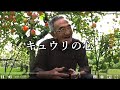 【自然栽培】キュウリに心がある?【木村秋則さん】