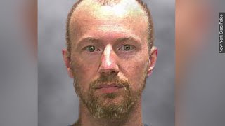 Escaped Inmate David Sweat Shot, Ending Three-Week Manhunt - Newsy