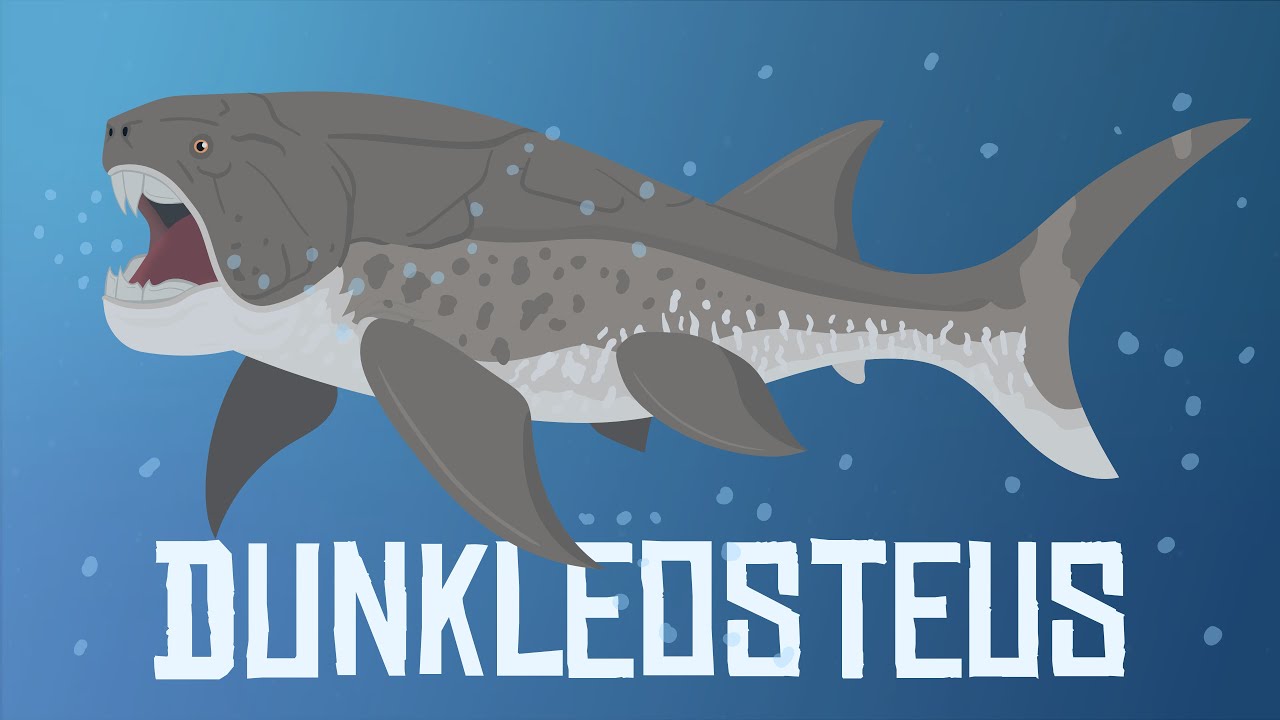 dunkleosteus size