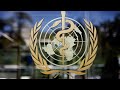 WHO holds briefing to update on the coronavirus outbreak