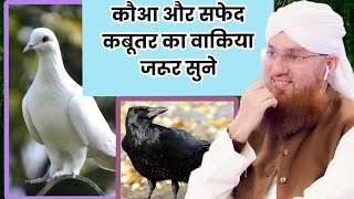 Details कौवा और सफेद कबूतर का वाकिया | A Crow and white pigeon's story | Abdul Habib Attari new bayan Guide