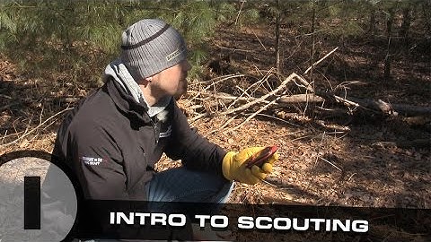 Scouting Whitetail Deer Part 1: Intro To Scouting
