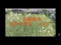 自動散水設備作る『DIY』