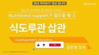 [베터플릭스] 식도루관 삽관(Esophagostomy Intubation)_강의
