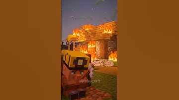 The Last Torch 😢  #minecraft #shorts