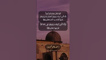 سورة آل عمران الآية ١٠٦ الى ١٠٨ بصوت الشيخ محمد صديق المنشاوي