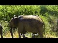 Other Tourist Spots in Betla National Park , Daltonganj , Palamu , Jharkhand - Weekend Getaway Mp3 Song