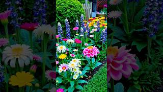 garden flowers shorts garden flowers